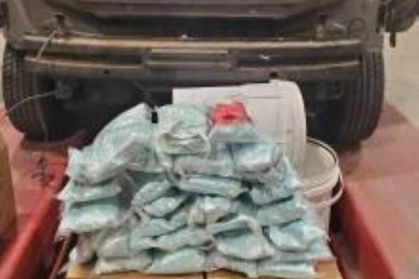 Feds seize narcotics worth more than $4.1M in San Diego busts